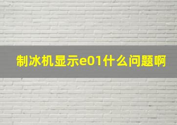 制冰机显示e01什么问题啊