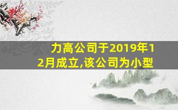 力高公司于2019年12月成立,该公司为小型