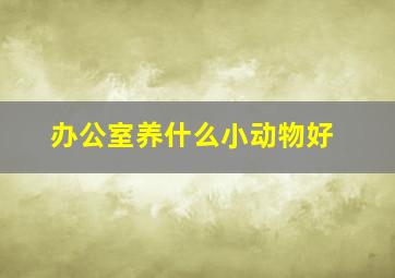 办公室养什么小动物好