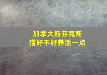 加拿大斯芬克斯猫好不好养活一点