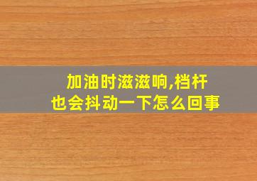 加油时滋滋响,档杆也会抖动一下怎么回事