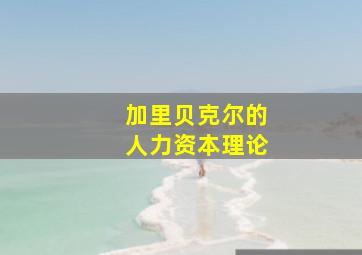 加里贝克尔的人力资本理论