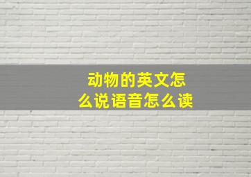 动物的英文怎么说语音怎么读