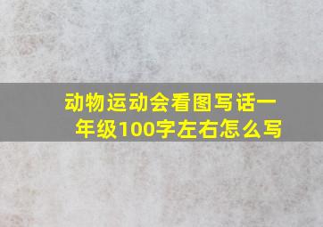 动物运动会看图写话一年级100字左右怎么写