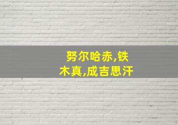 努尔哈赤,铁木真,成吉思汗