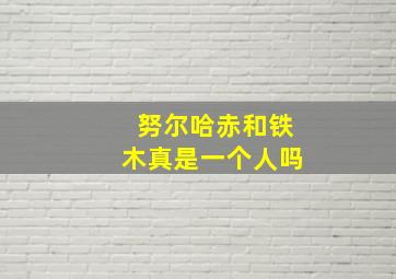 努尔哈赤和铁木真是一个人吗