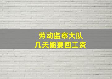 劳动监察大队几天能要回工资