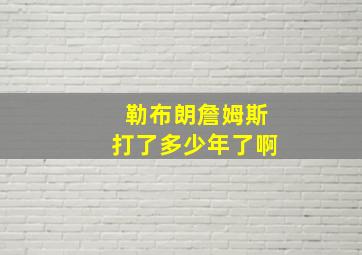 勒布朗詹姆斯打了多少年了啊