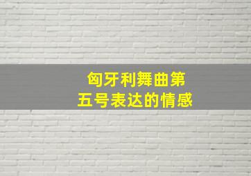 匈牙利舞曲第五号表达的情感