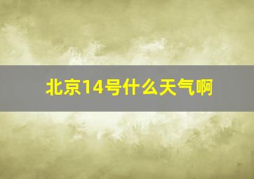 北京14号什么天气啊