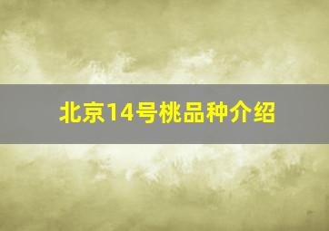 北京14号桃品种介绍