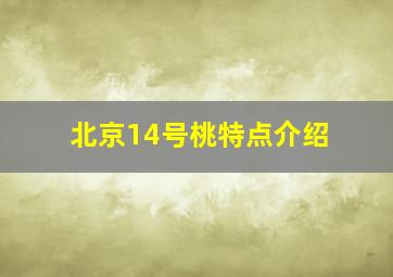 北京14号桃特点介绍