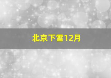 北京下雪12月