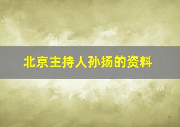 北京主持人孙扬的资料