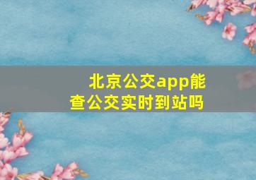 北京公交app能查公交实时到站吗