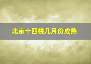 北京十四桃几月份成熟