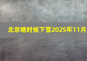 北京啥时候下雪2025年11月