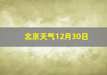 北京天气12月30日