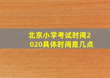 北京小学考试时间2020具体时间是几点