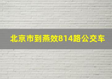 北京市到燕效814路公交车