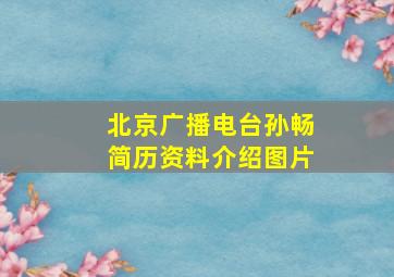 北京广播电台孙畅简历资料介绍图片