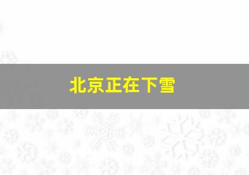 北京正在下雪