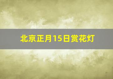 北京正月15日赏花灯