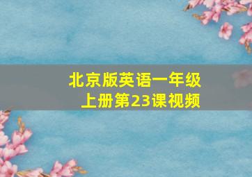 北京版英语一年级上册第23课视频