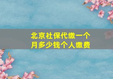 北京社保代缴一个月多少钱个人缴费