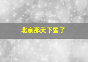 北京那天下雪了