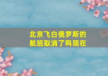 北京飞白俄罗斯的航班取消了吗现在