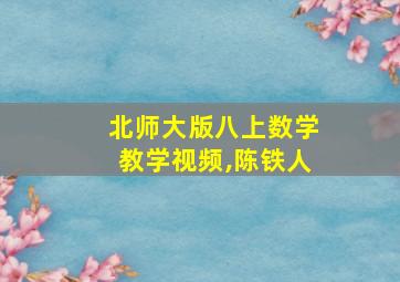 北师大版八上数学教学视频,陈铁人