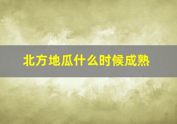 北方地瓜什么时候成熟