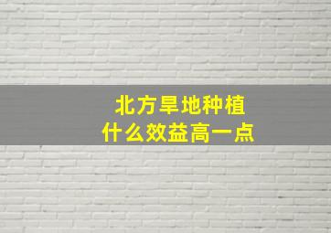 北方旱地种植什么效益高一点