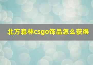 北方森林csgo饰品怎么获得