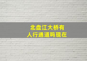 北盘江大桥有人行通道吗现在