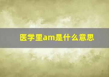 医学里am是什么意思