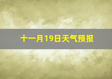 十一月19日天气预报