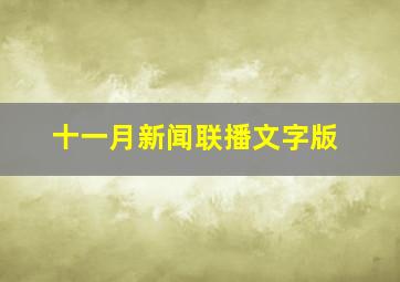 十一月新闻联播文字版