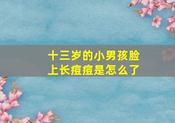 十三岁的小男孩脸上长痘痘是怎么了