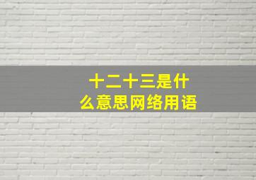 十二十三是什么意思网络用语