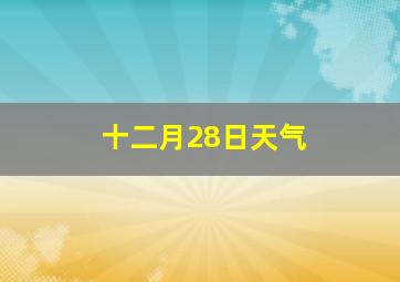 十二月28日天气