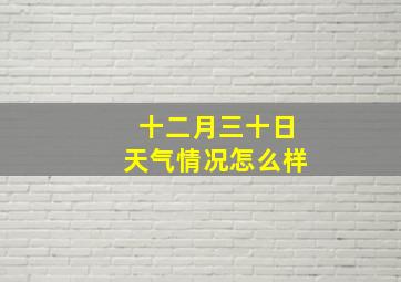 十二月三十日天气情况怎么样