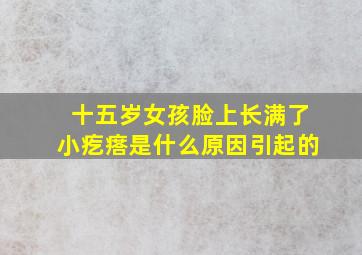 十五岁女孩脸上长满了小疙瘩是什么原因引起的