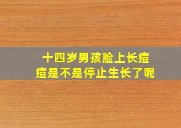 十四岁男孩脸上长痘痘是不是停止生长了呢