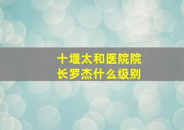 十堰太和医院院长罗杰什么级别