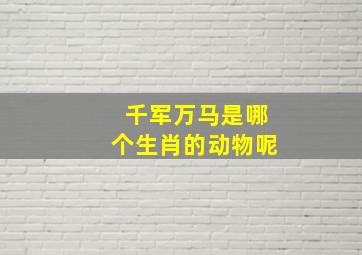 千军万马是哪个生肖的动物呢