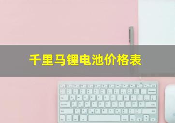 千里马锂电池价格表