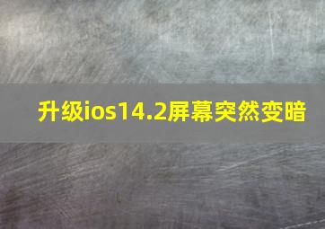 升级ios14.2屏幕突然变暗