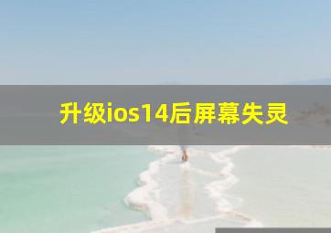 升级ios14后屏幕失灵